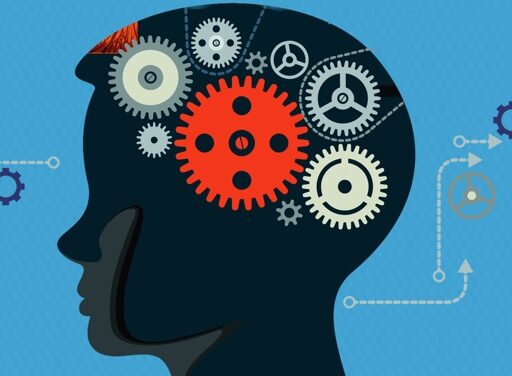 ¡Transformar el “Mindset” de tu empresa o morir!